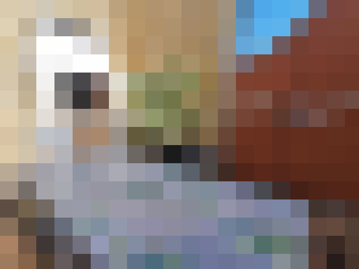  / #7