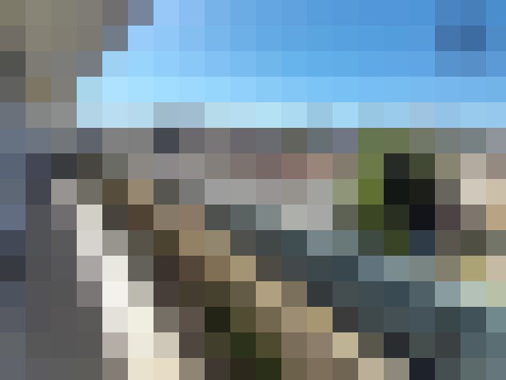  / #14