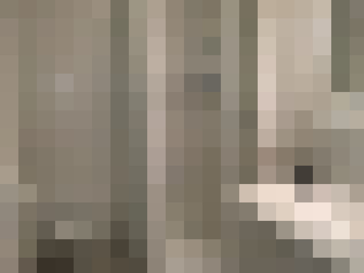  / #8