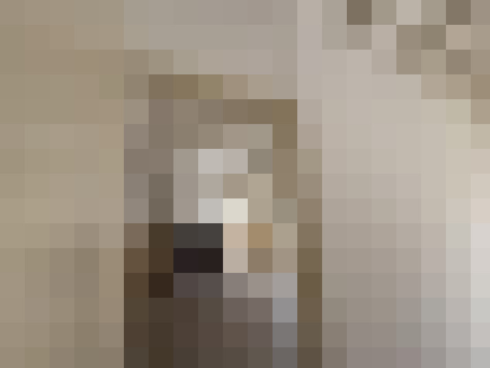  / #19