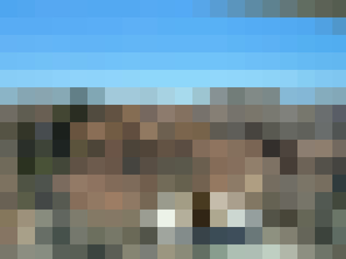  / #11