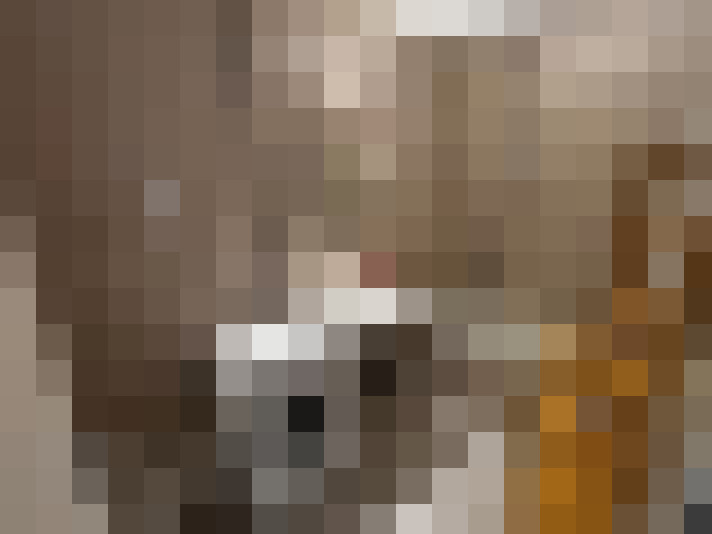  / #8