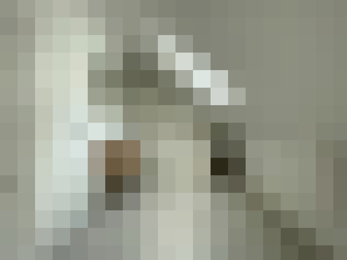  / #8