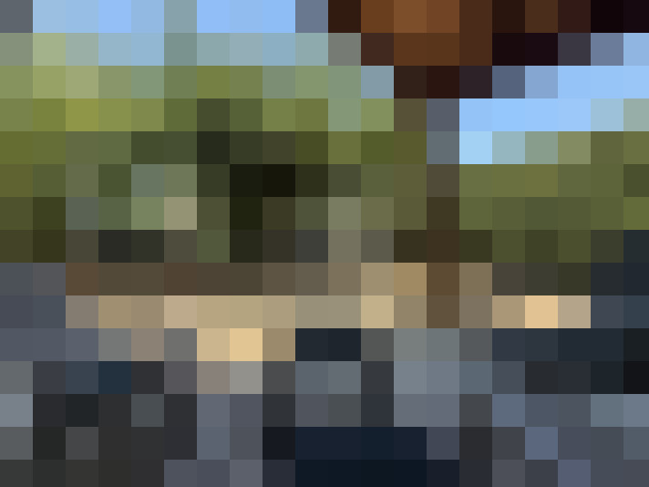  / #14