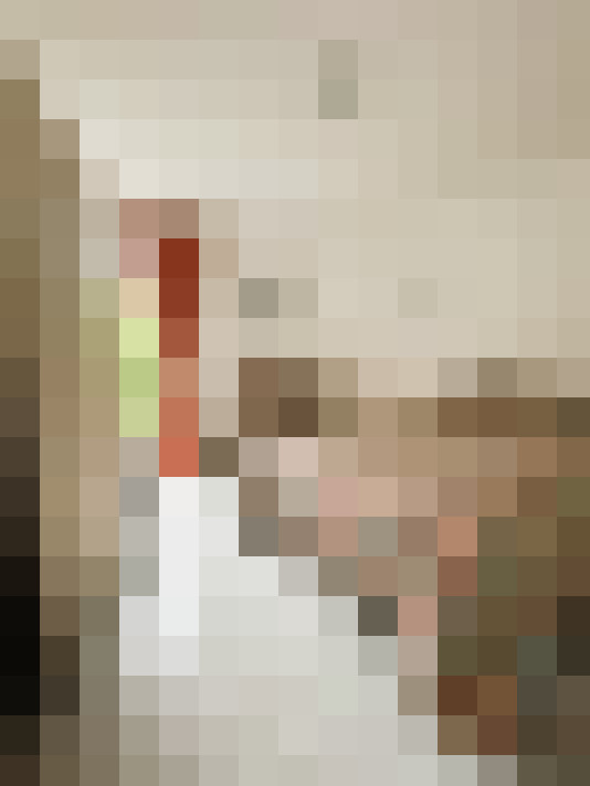  / #17