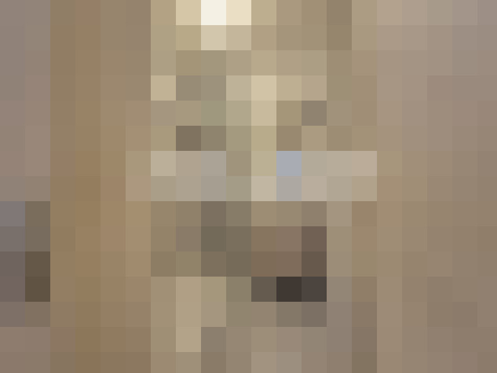  / #11