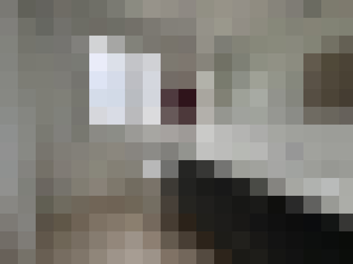  / #8