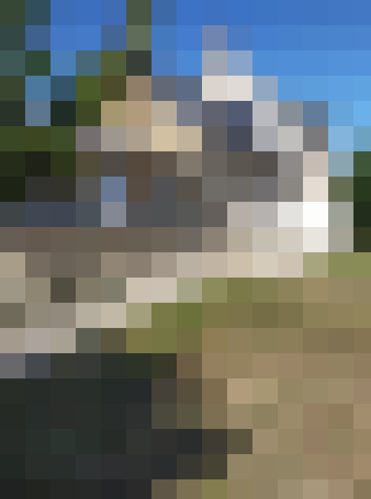  / #7
