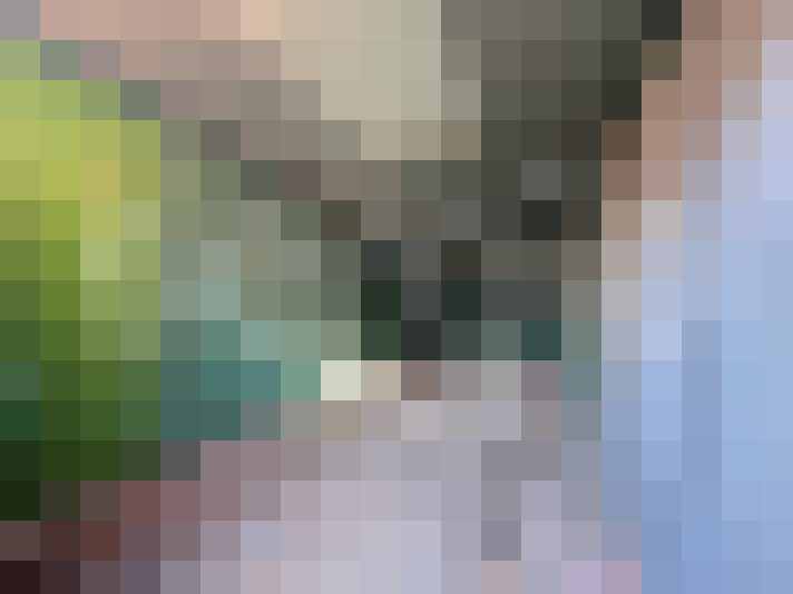  / #16