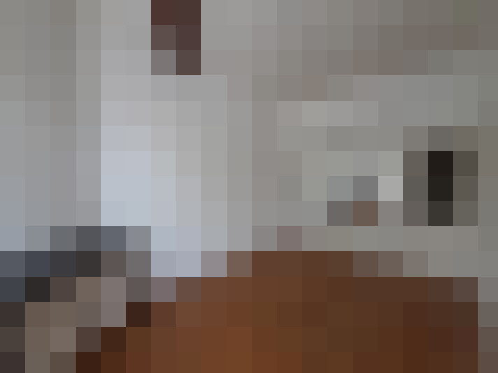  / #13