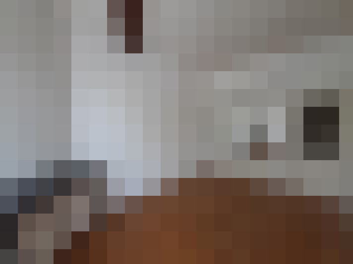  / #14