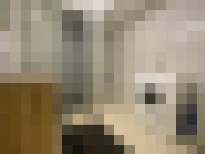  / #15