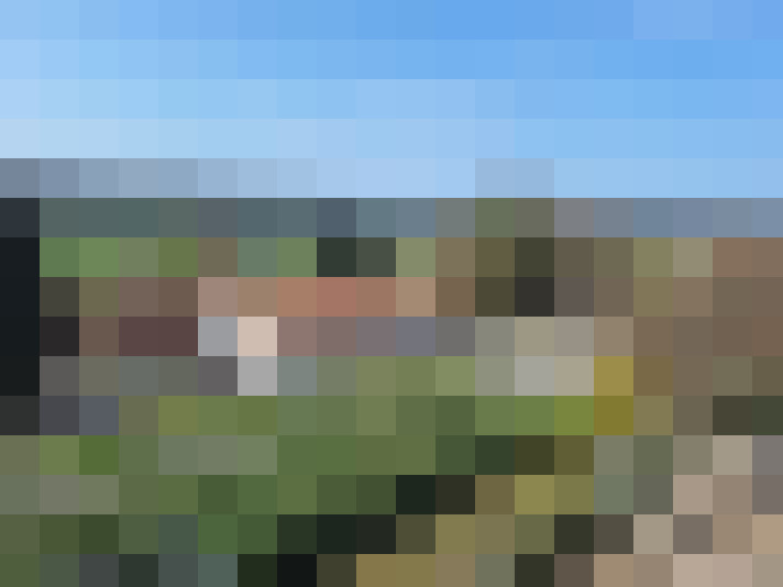 / #14