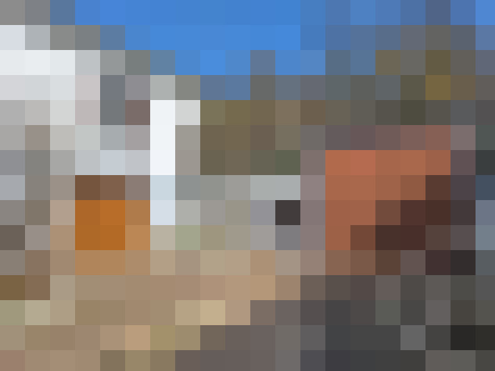  / #15