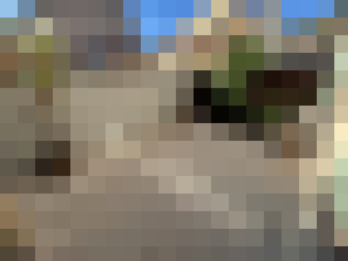  / #8
