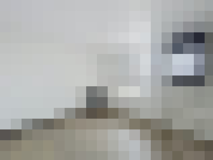  / #16