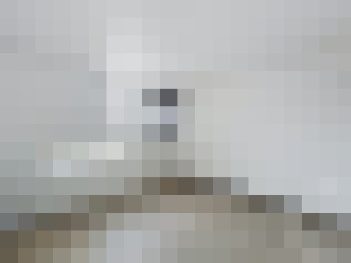  / #15