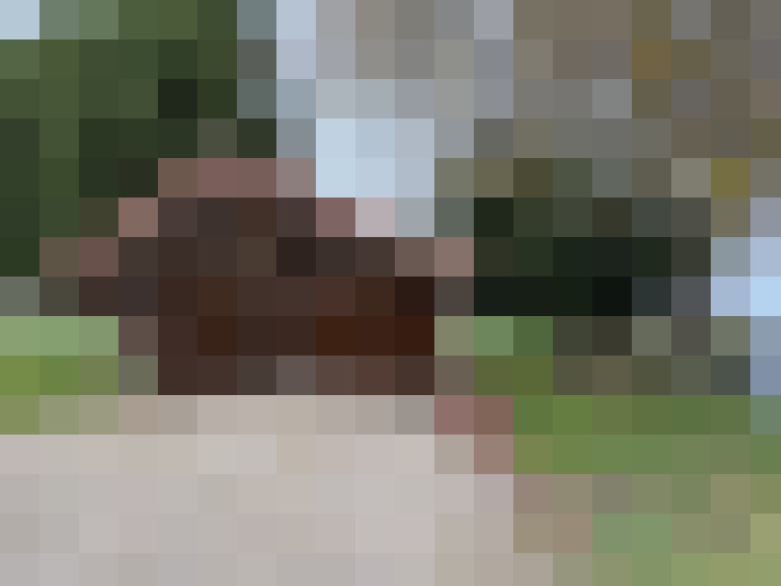 / #11