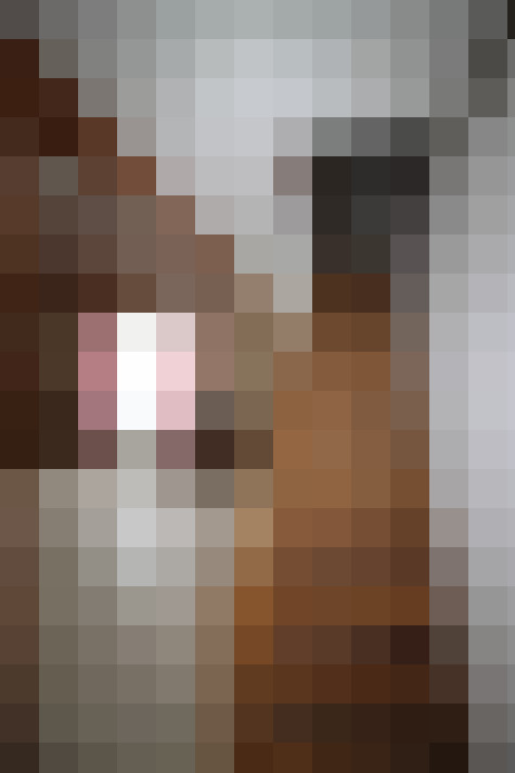  / #11