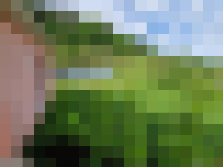  / #14