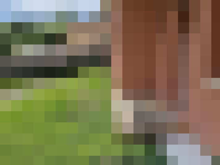 / #18