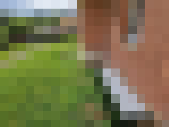  / #17