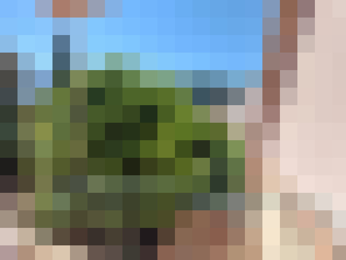  / #13