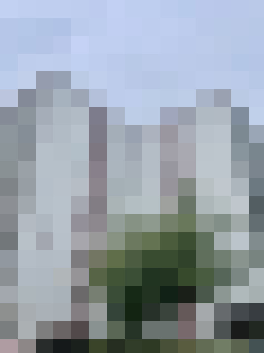  / #6