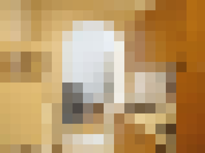  / #15