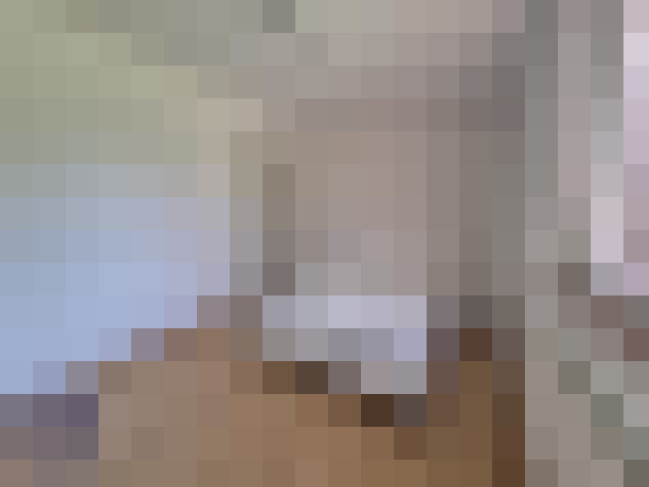  / #21