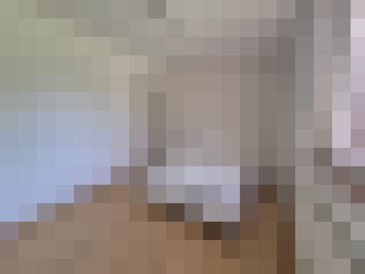  / #22