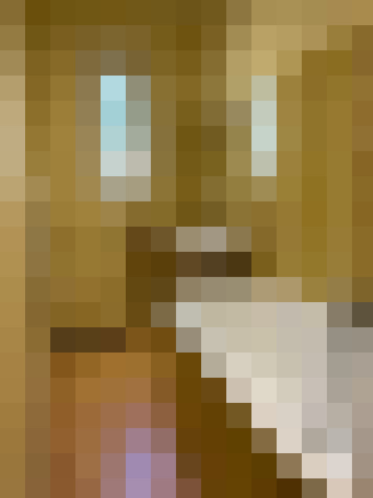  / #8