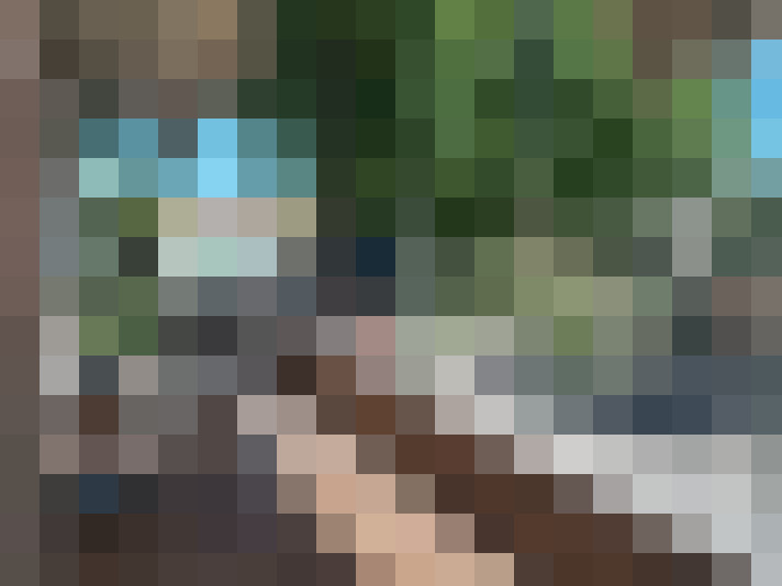  / #12