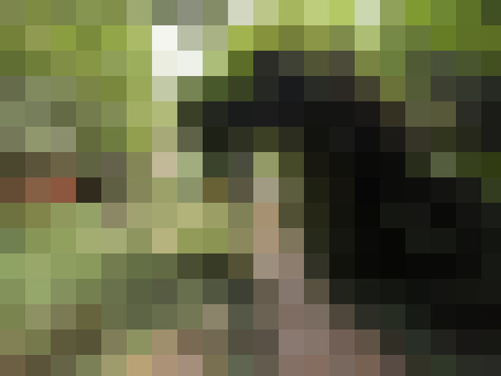  / #14