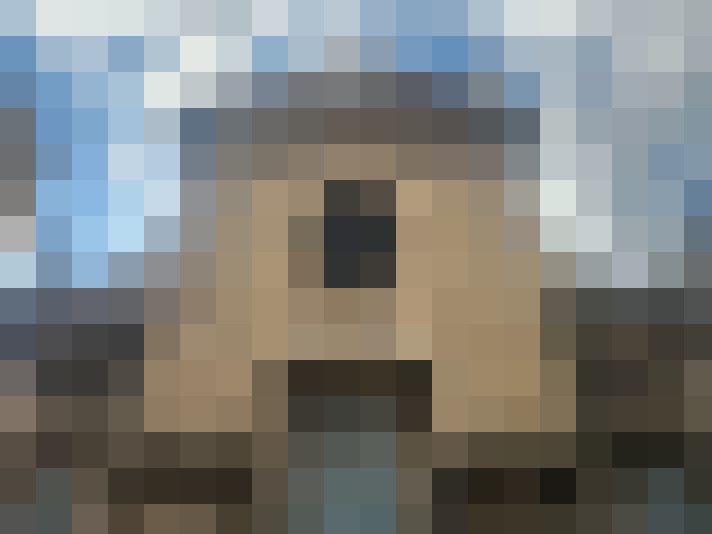  / #7