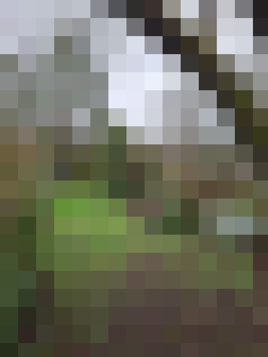  / #18