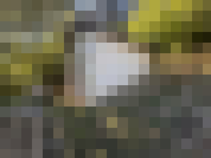  / #13