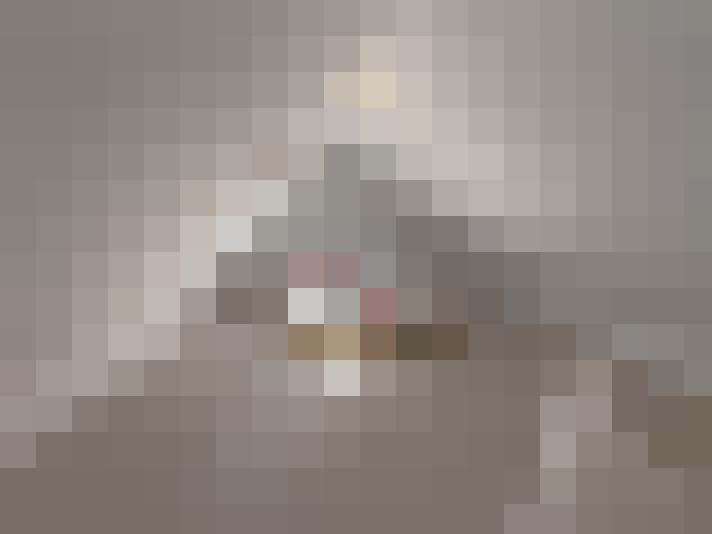  / #11