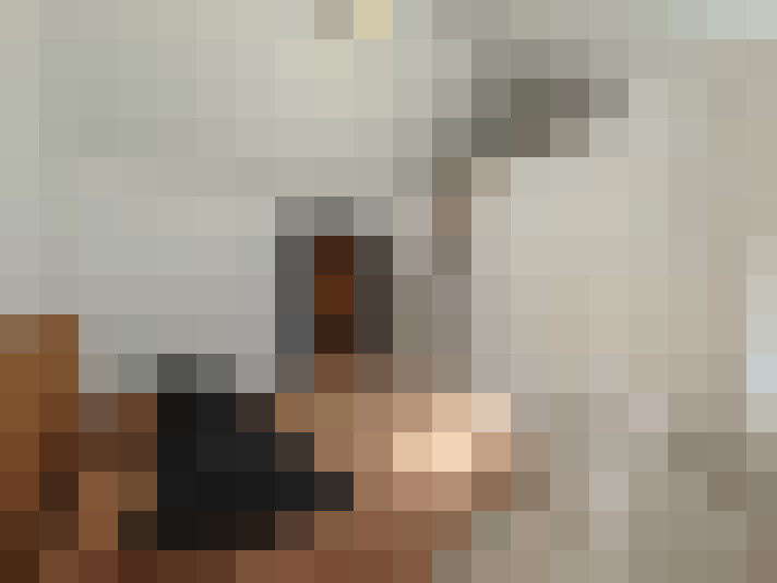  / #8