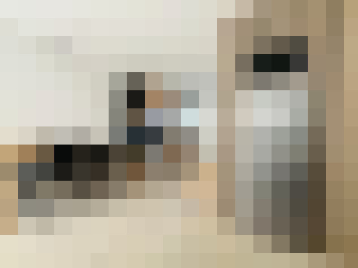  / #12