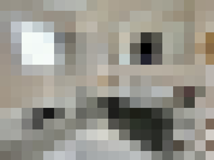 / #8