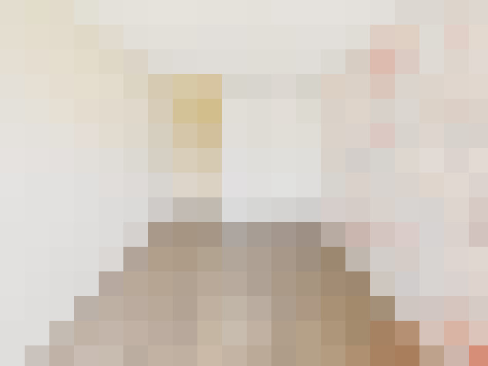  / #11