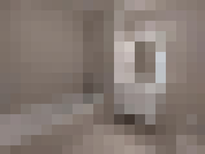  / #6