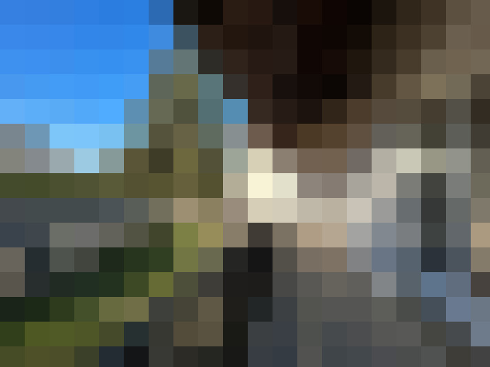  / #7