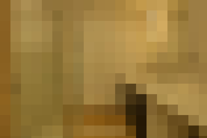  / #11