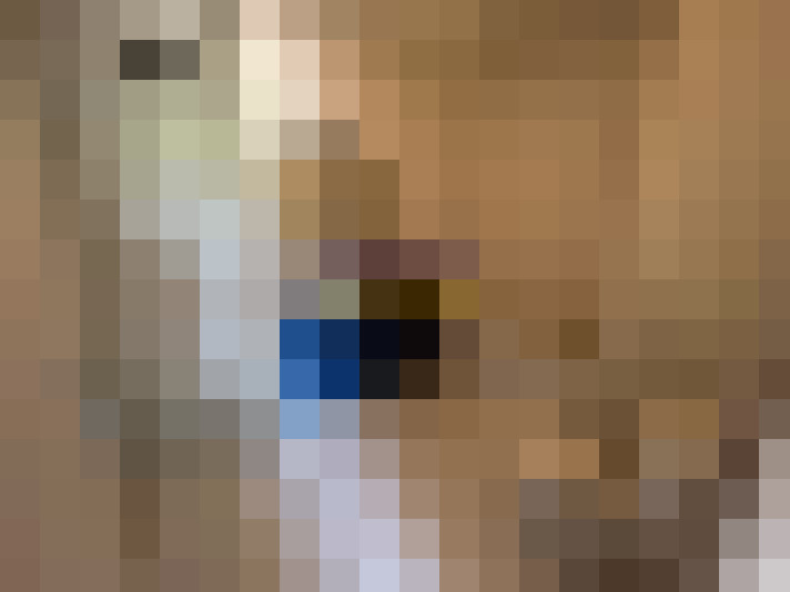  / #8