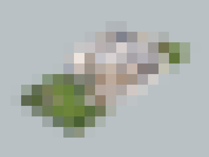  / #10