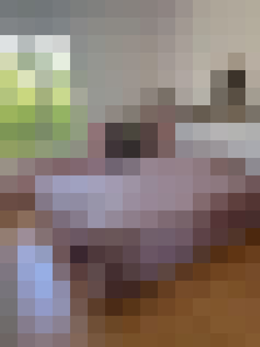  / #15