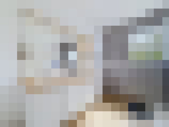  / #14