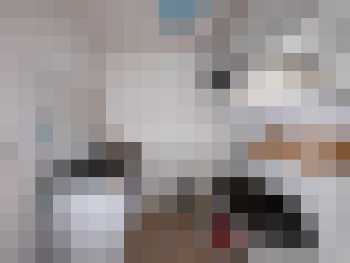  / #16